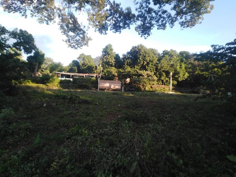 Jabalincito, Parque la ceiba - Image 1