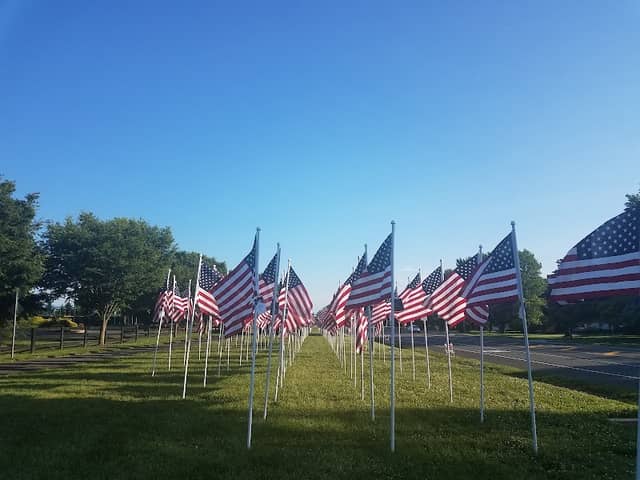 Freedom Park - Image 1