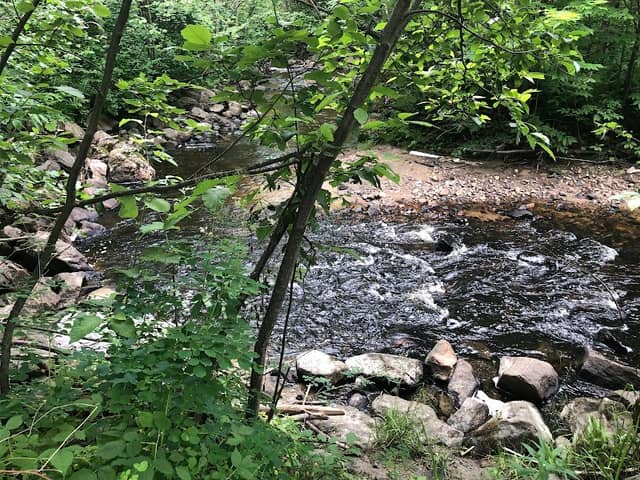 Kinsmen Trail - Image 2