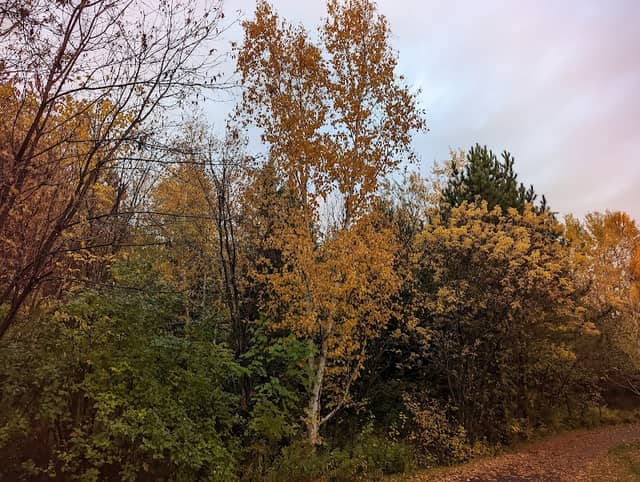 Kinsmen Trail - Image 1