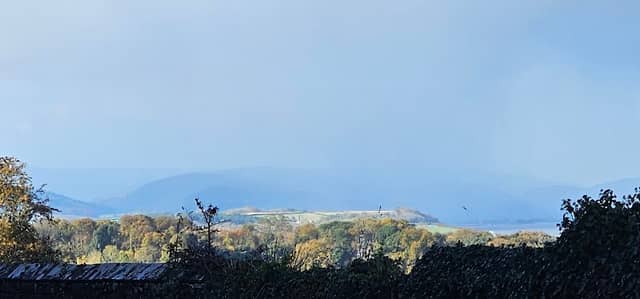 St Audries Deer Park - Image 1