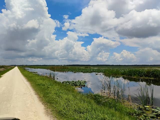 Lake Apopka Wildlife Drive - Image 2