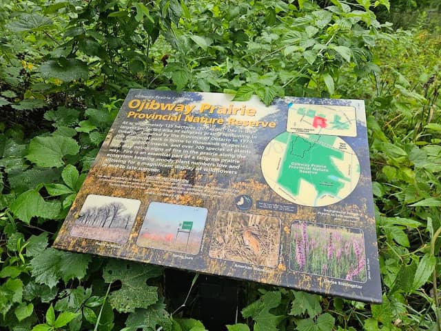 Ojibway Prairie Provincial Nature Reserve Parking lot and trail head - Image 2