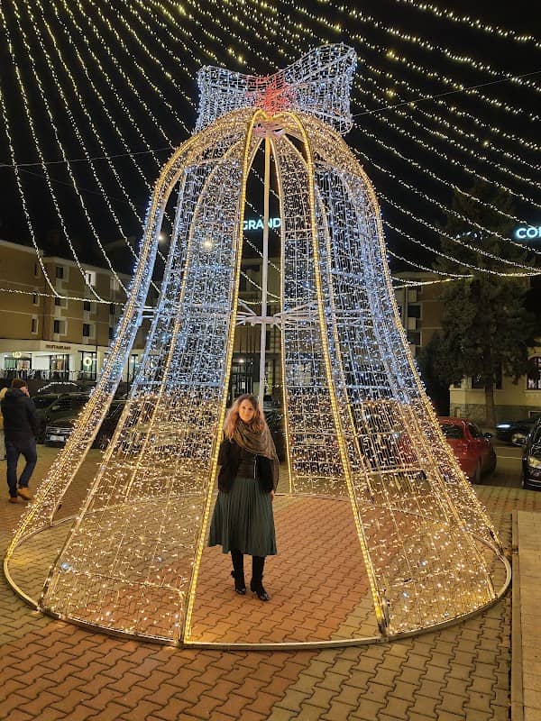 Statuia lui Petru Rareș - Image 1