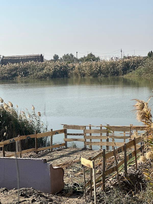 مزرعة حجي سعد البدري - Image 1