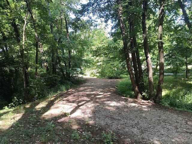 Parco oasi risorgive di Motta - Image 1