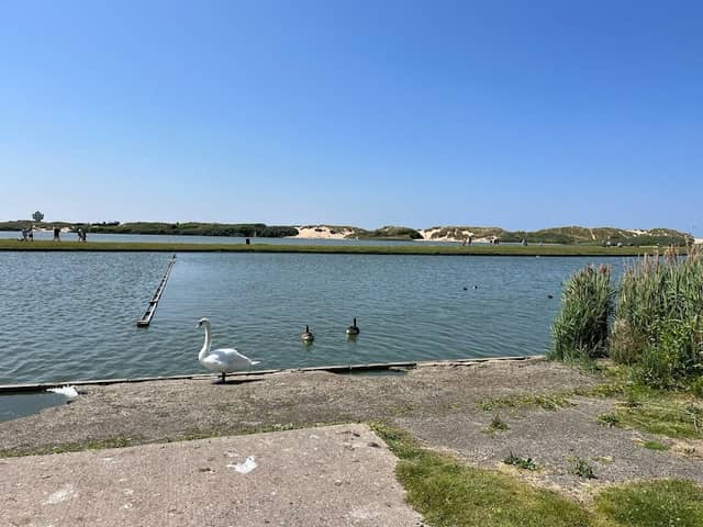 Waterloo Beach - Image 2