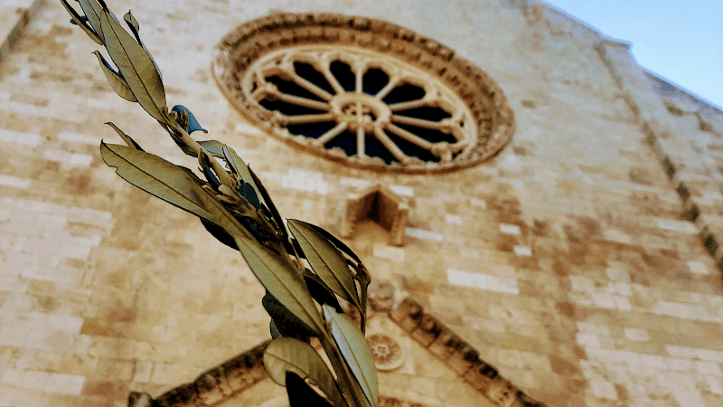 Cathedral of Saint Mary of the Assumption in Heaven - Image 1