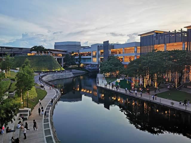 Water Garden - Image 2