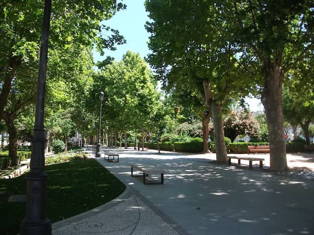 Alameda de talca - Image 2