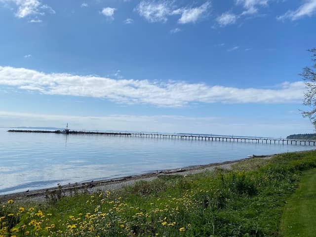 White Rock Boardwalk and Pier - Image 3