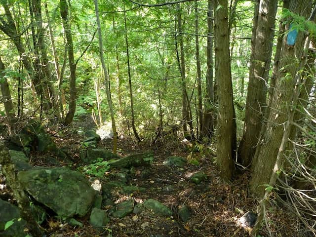 Mason Nature Area - Image 2