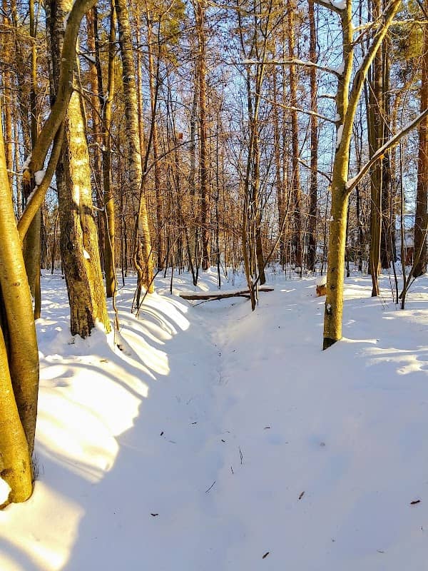 Vanamopuisto - Image 1