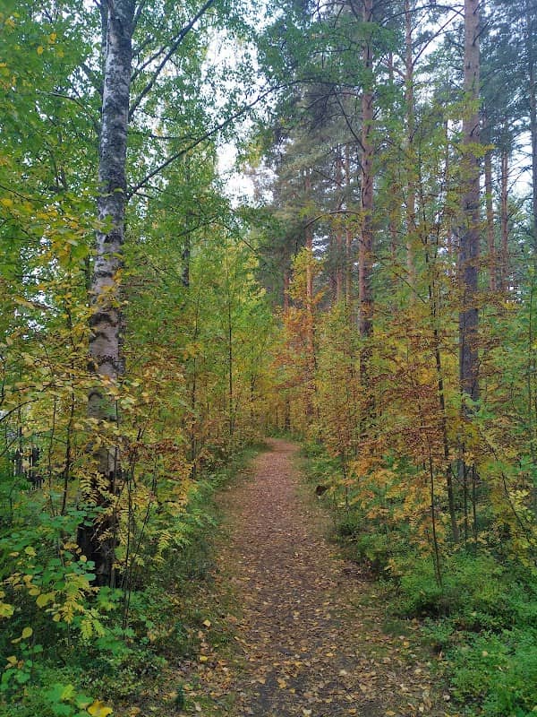 Vanamopuisto - Image 2