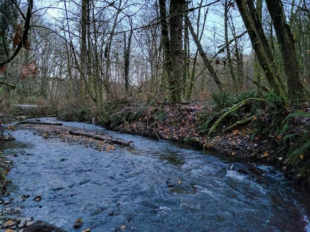 May Creek Park - Image 1