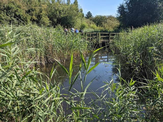 Ramsey Heights nature reserve - Image 1