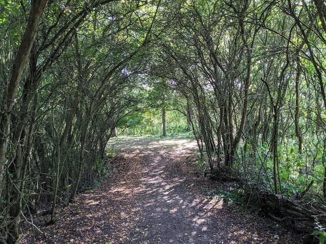 Ramsey Heights nature reserve - Image 2