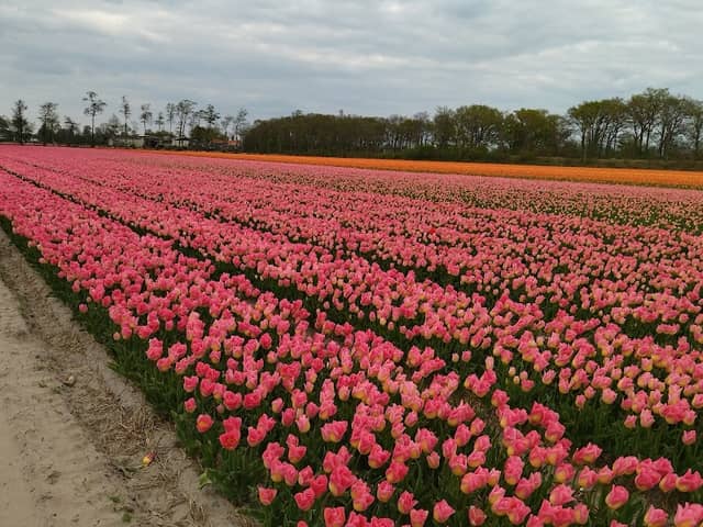 Landgoed Wassergeest - Image 2