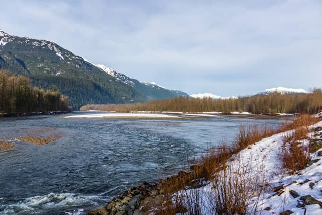 Brackendale Eagles Provincial Park - Image 3