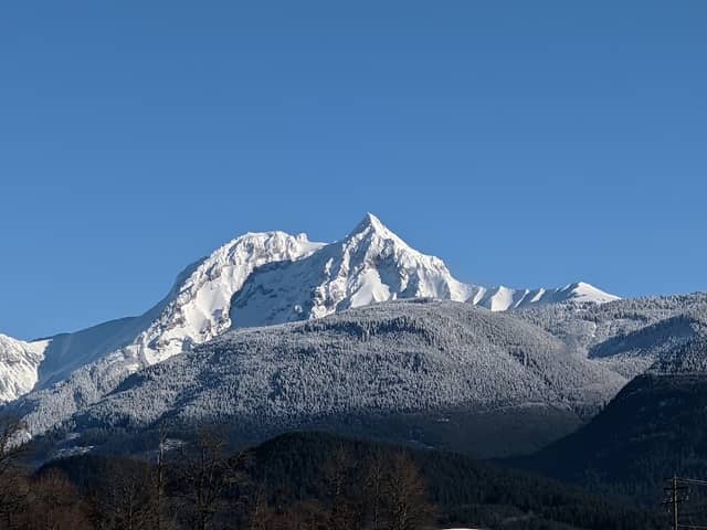 Brackendale Eagles Provincial Park - Image 2