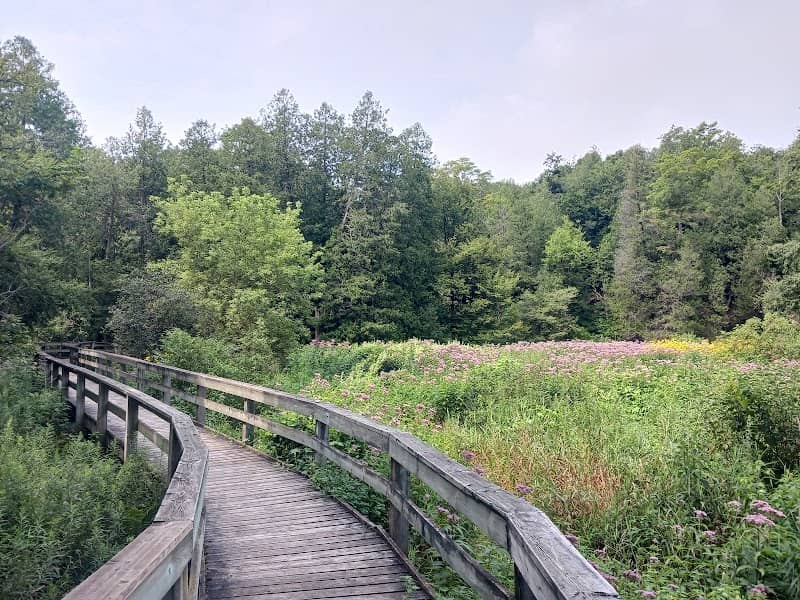 Bannockburn Conservation Area - Image 2