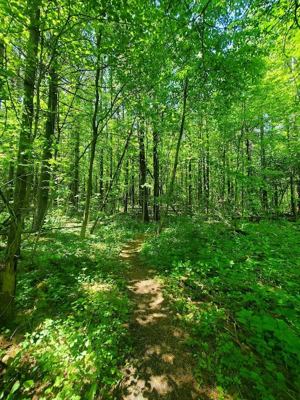 George G. Newton Nature Reserve - Image 2