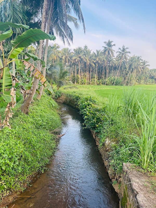 Anamangad manalaya paadam - Image 2