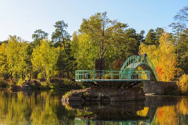 Derevo Vlyublonnykh - Image 1