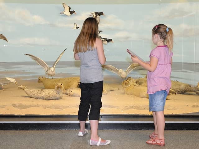Natuurmuseum Holterberg - Image 1
