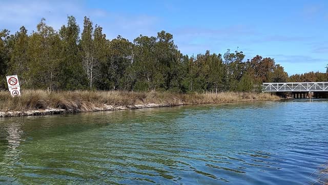 Swan Lake Inlet - Image 1