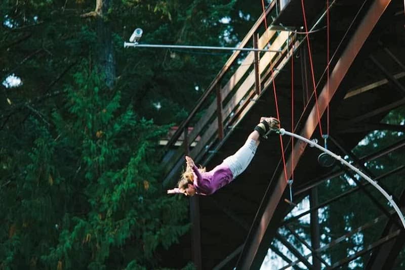 WildPlay Nanaimo - Image 1