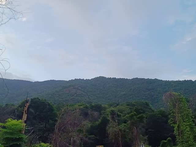 Kolli hills - Image 1