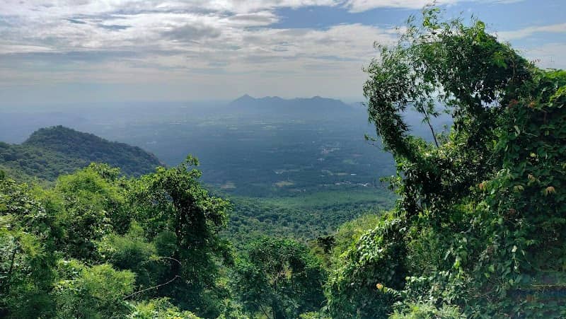 Kolli hills - Image 2