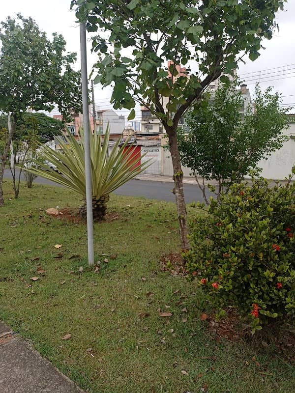 Parque Linear Firestone - Image 3