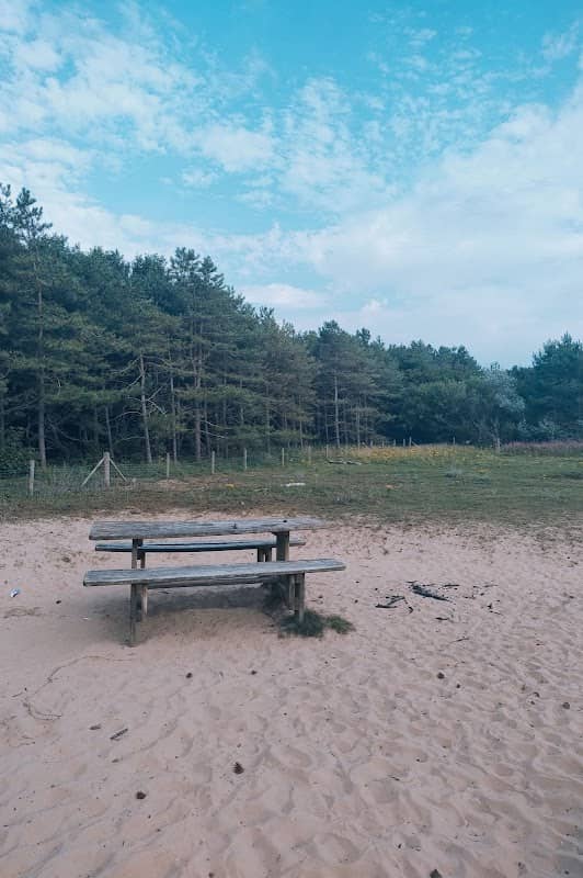 Picnic Area - Image 3