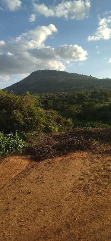 Mbooni hills - Image 1