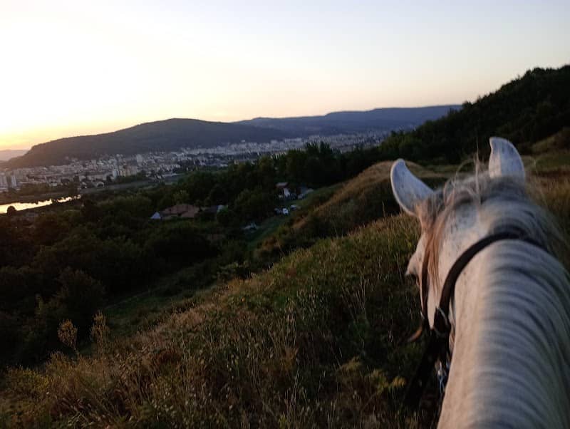 Dream Horse Ride - Image 1