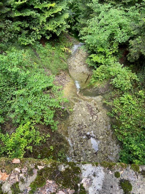 Bellweiher - Image 2