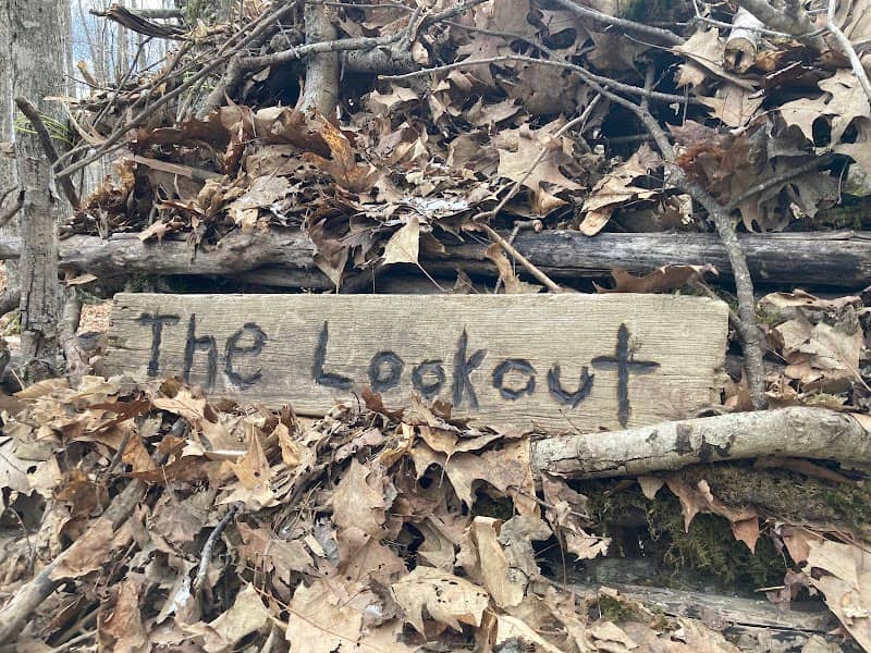 The Lookout - Image 2