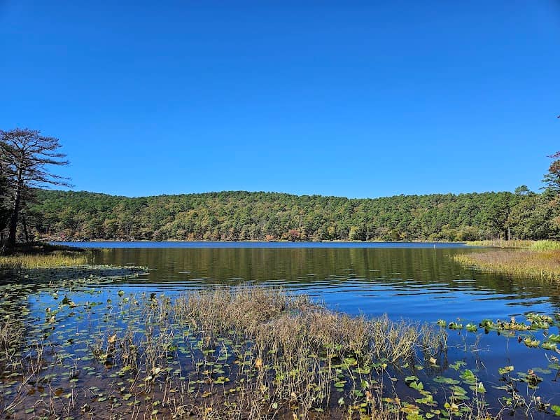Clayton Lake State Park - Image 2