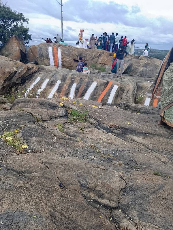 Palasandra stream - Image 1