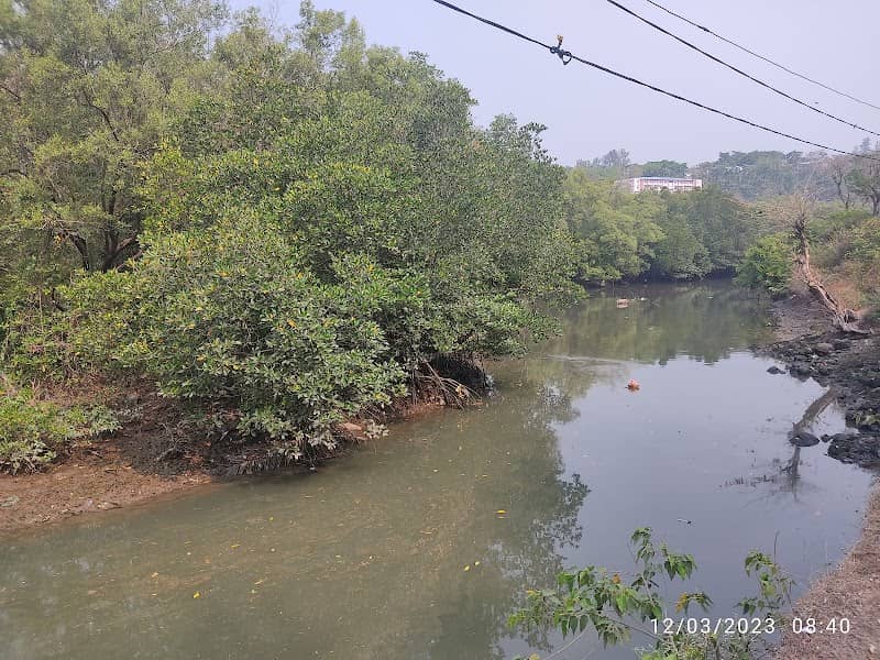 Brookshabad Pillow Lava (Geoheritage site) - Image 2