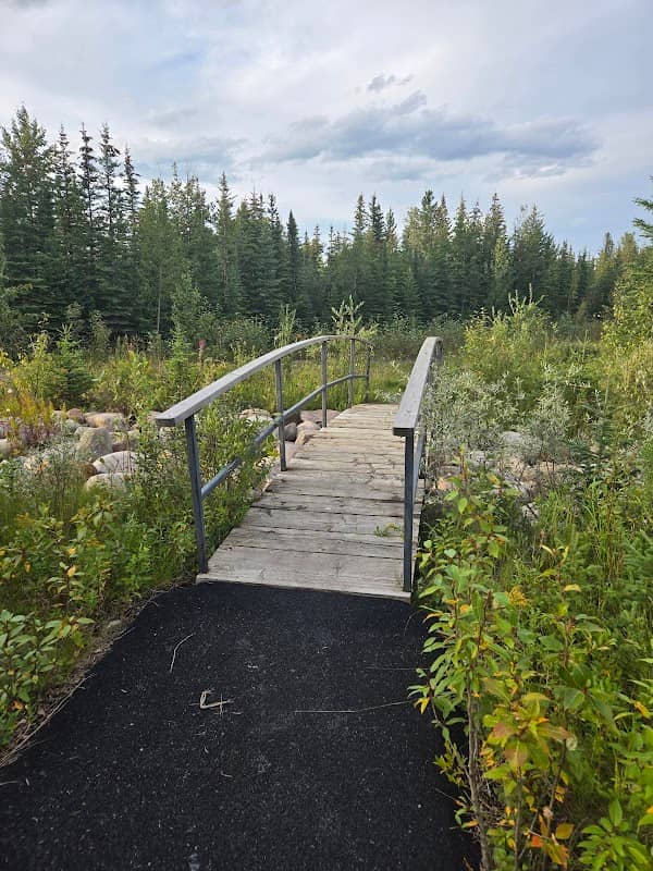 Innovista Wetland Park - Image 2