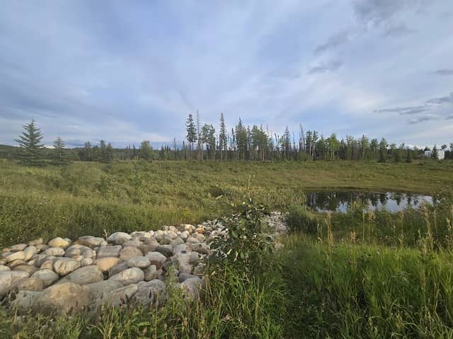 Innovista Wetland Park - Image 1