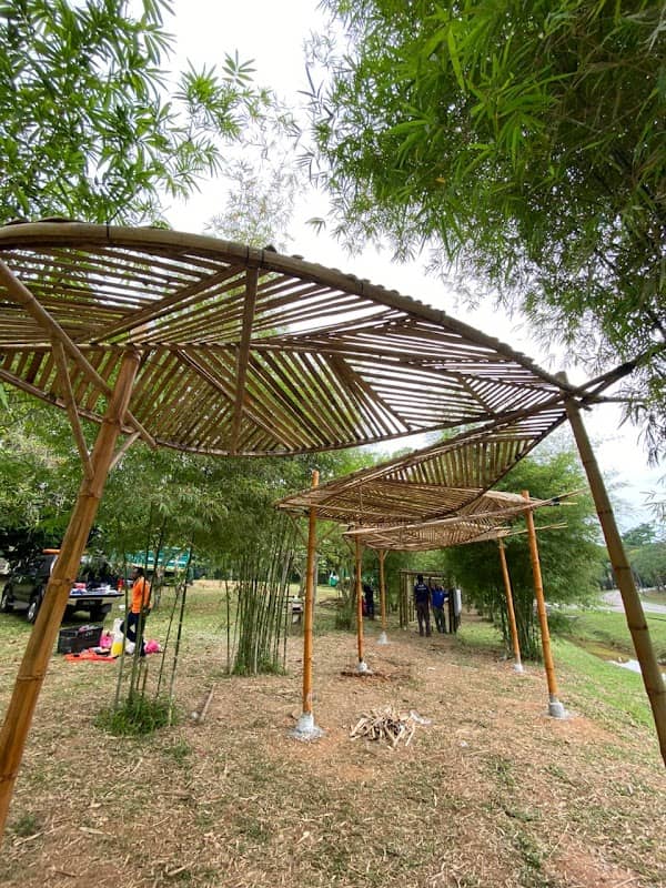 Bamboo Avenue - Image 3