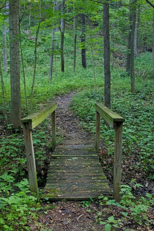 Portland Arch Nature Preserve (South Trail) - Image 1