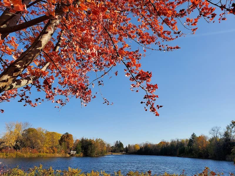 Elgin Park - Image 1