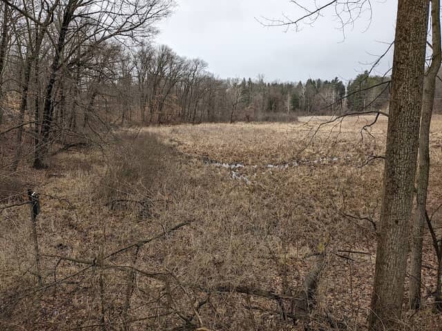 Coon Hollow Preserve - Image 2