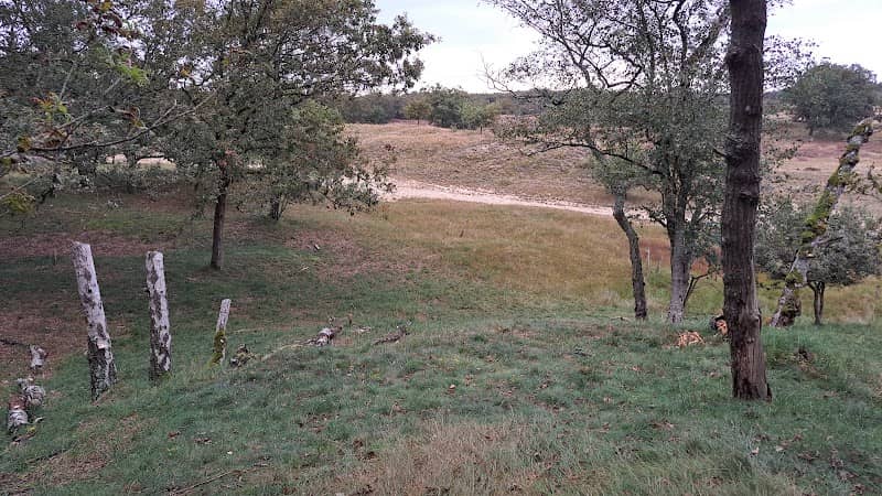 IVM Preserved country - Image 1