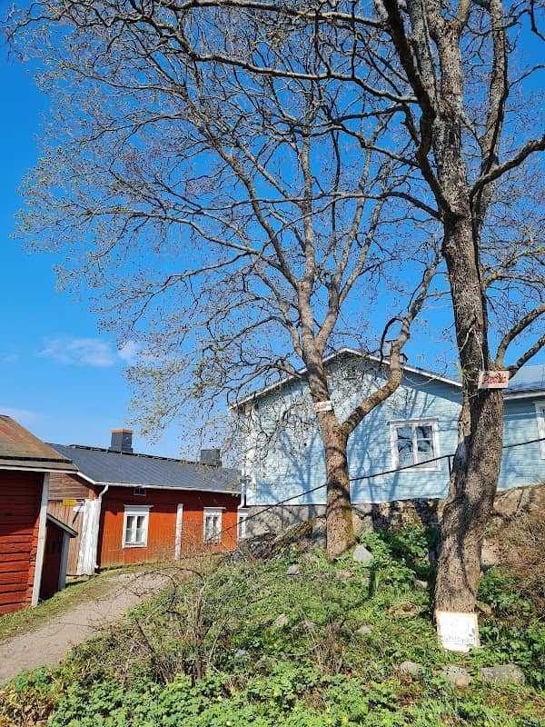 Puistokallio - Image 2